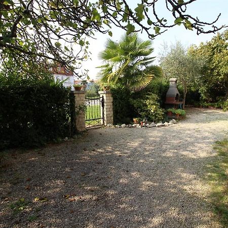 Gianna N2, 600 M From The Beach Novigrad Istria Exterior foto