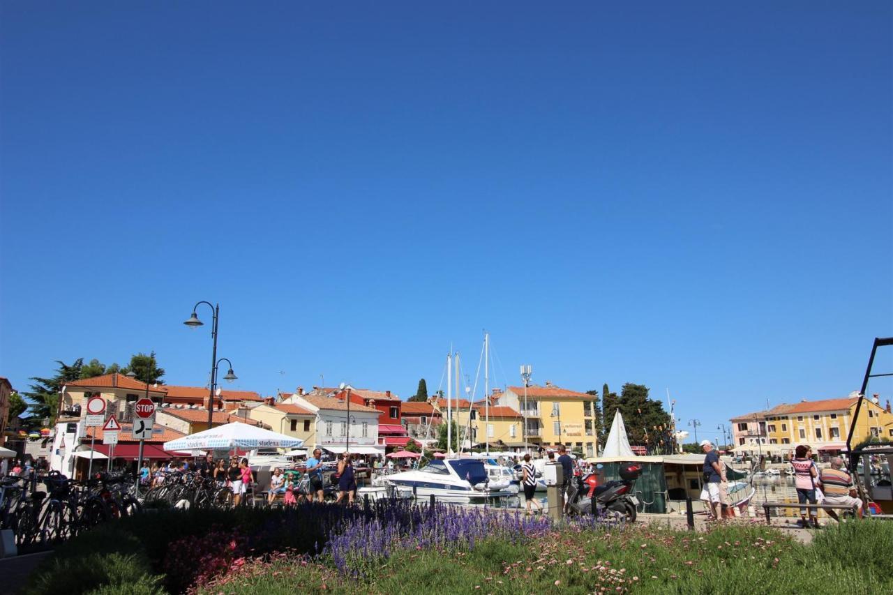 Gianna N2, 600 M From The Beach Novigrad Istria Exterior foto